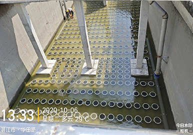 Guangdong project